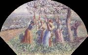 Peasant Women Placing pea-Sticks in the Ground Camille Pissarro